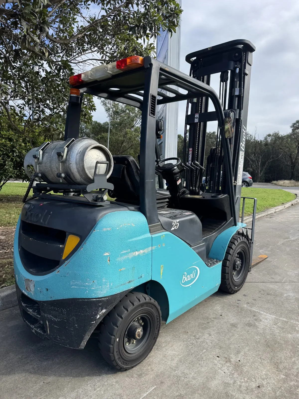 F1025 BAOLI 2.5t forklift