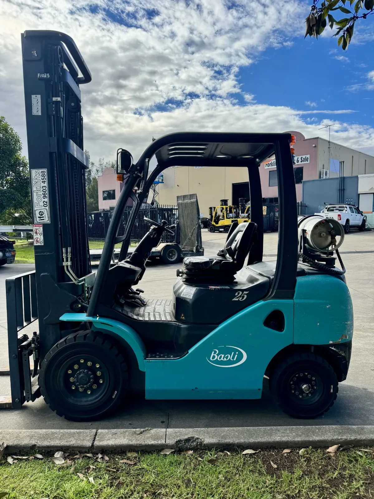 F1025 BAOLI 2.5t forklift